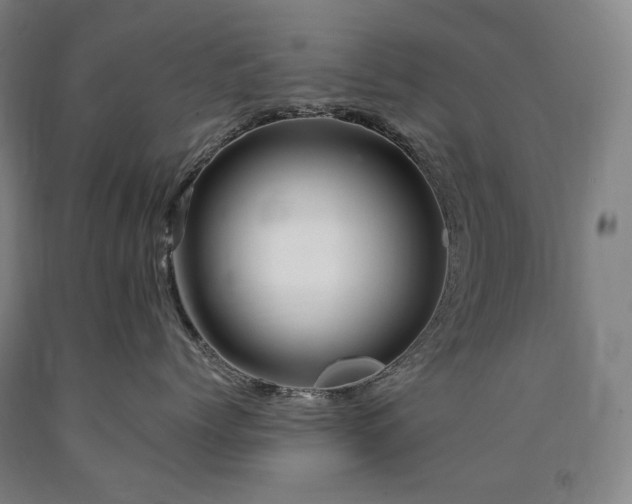 X0000090930768200707301555