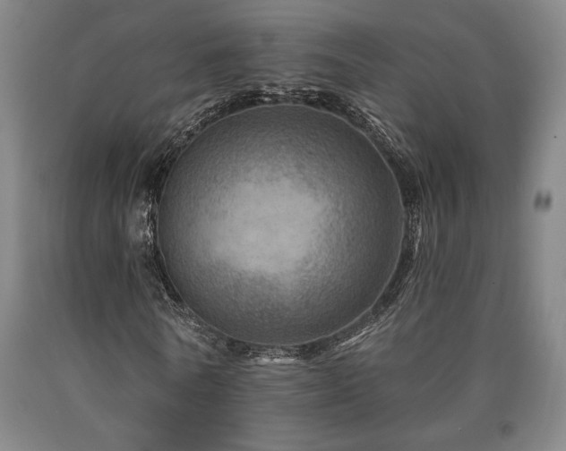 X0000090930770200707301554