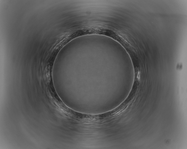 X0000090930771200707301554