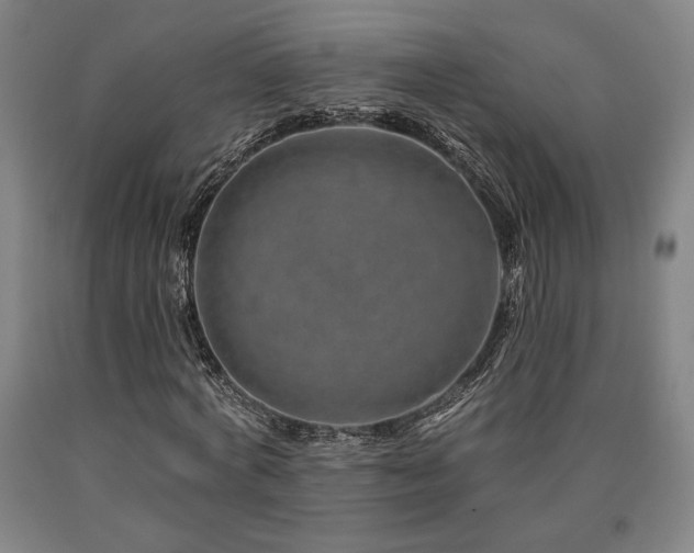 X0000090930772200707301554