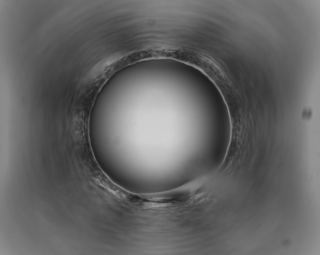 X0000090930773200707301554