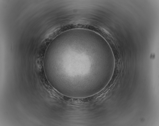 X0000090930774200707301554