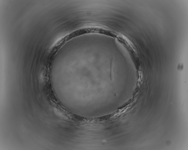 X0000090930775200707301554