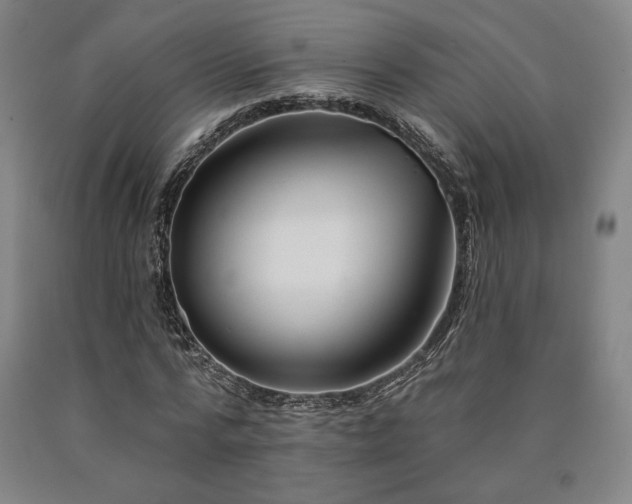 X0000090930776200707301554