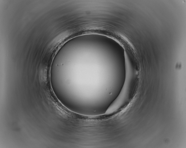 X0000090930777200707301554