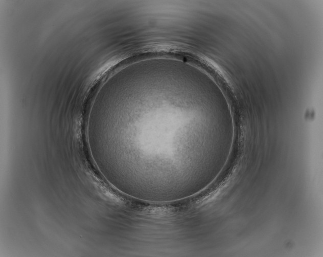 X0000090930778200707301554