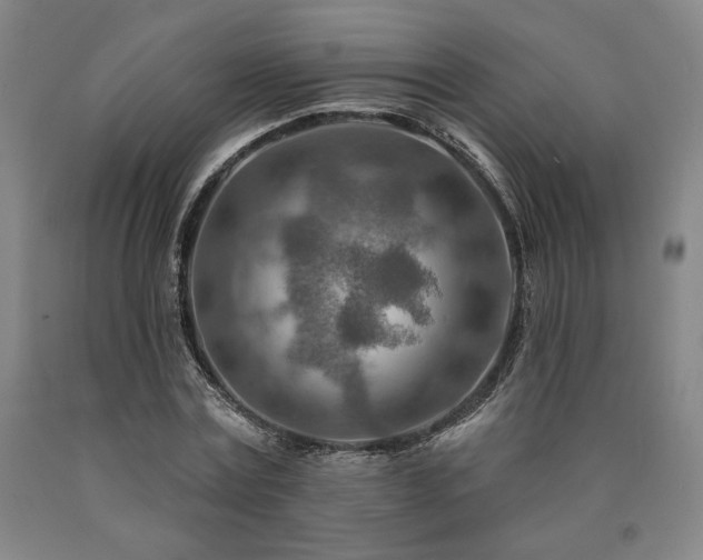X0000090930779200707301554