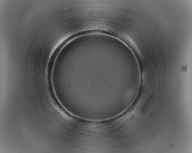 X0000090930780200707301554
