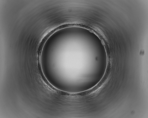 X0000090930781200707301554