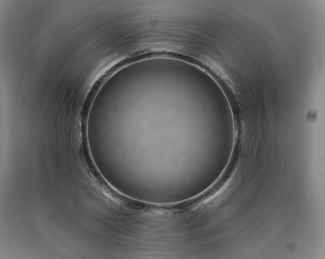 X0000090930782200707301554