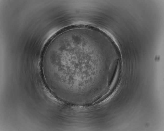 X0000090930783200707301554