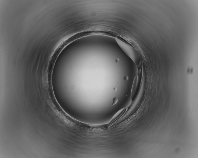 X0000090930784200707301554
