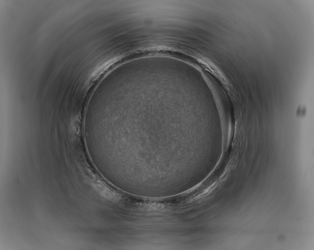 X0000090930785200707301554