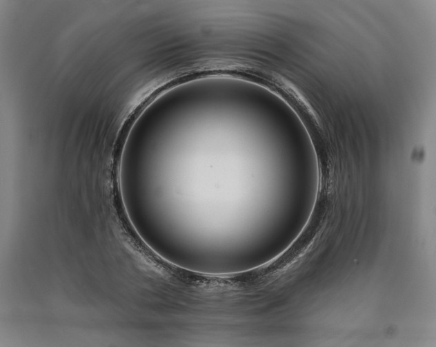 X0000090930786200707301554