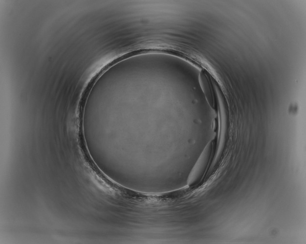 X0000090930787200707301554