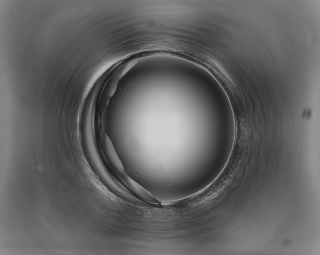 X0000090930788200707301554