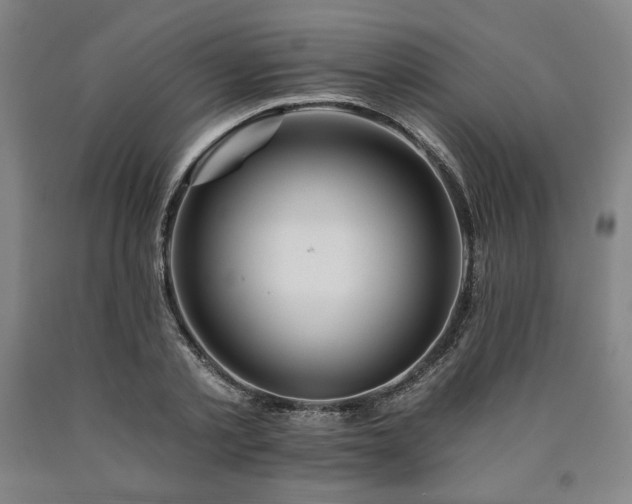 X0000090930789200707301554