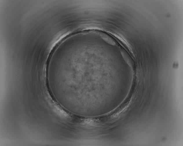 X0000090930790200707301554