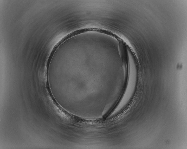 X0000090930791200707301554