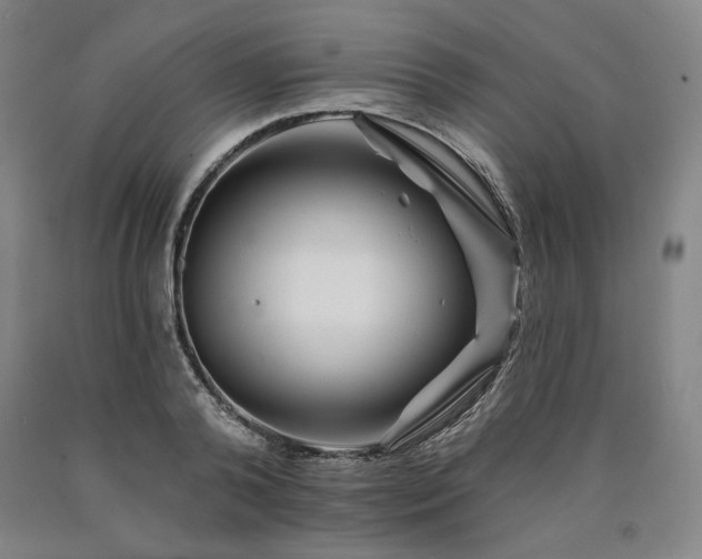 X0000090930792200707301554