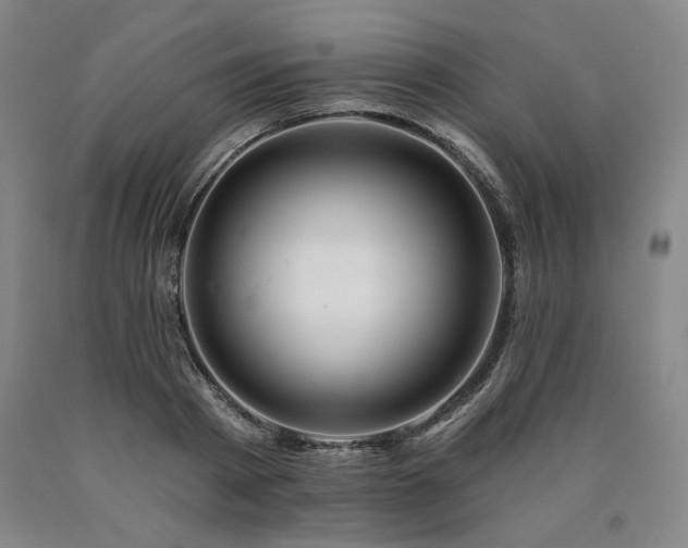 X0000090930793200707301554
