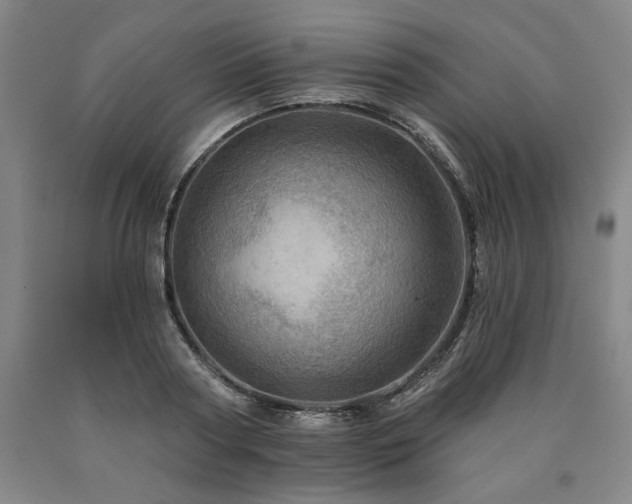 X0000090930794200707301554