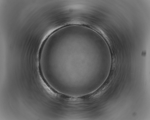 X0000090930795200707301554