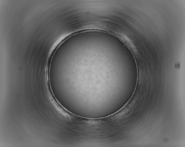 X0000090930796200707301554