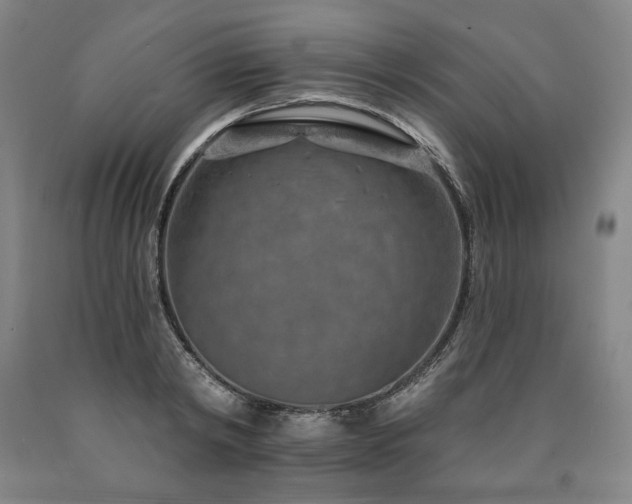 X0000090930798200707301554