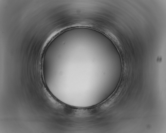 X0000090930800200707301554