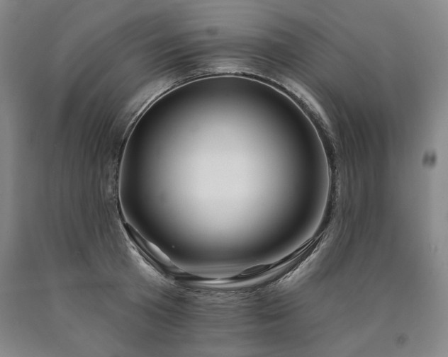 X0000090930801200707301554