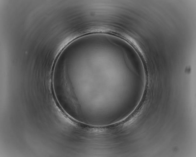 X0000090930802200707301554