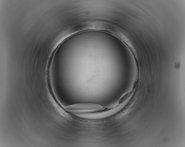 X0000090930803200707301554