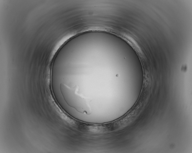 X0000090930804200707301554