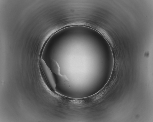 X0000090930805200707301554