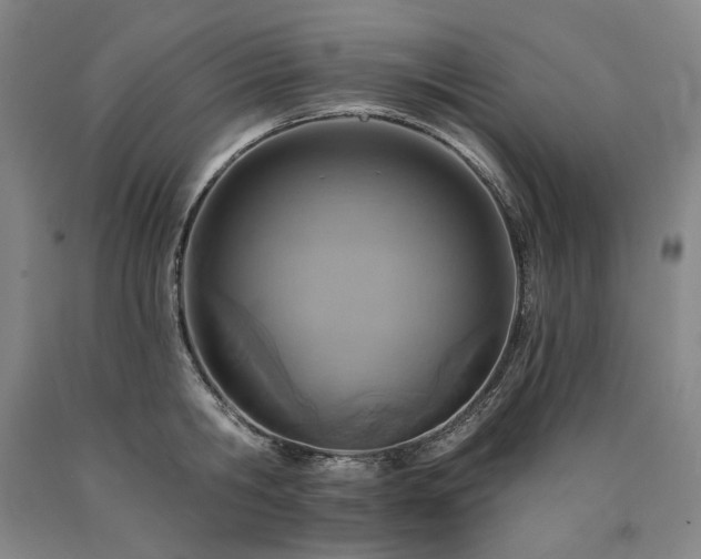 X0000090930806200707301554