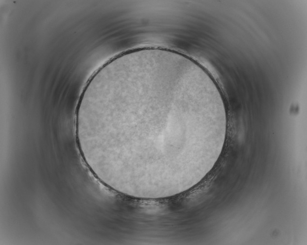 X0000090930807200707301554