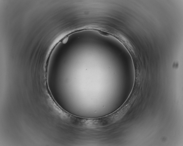 X0000090930808200707301554