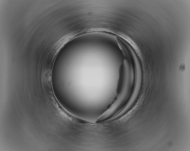 X0000090930809200707301554