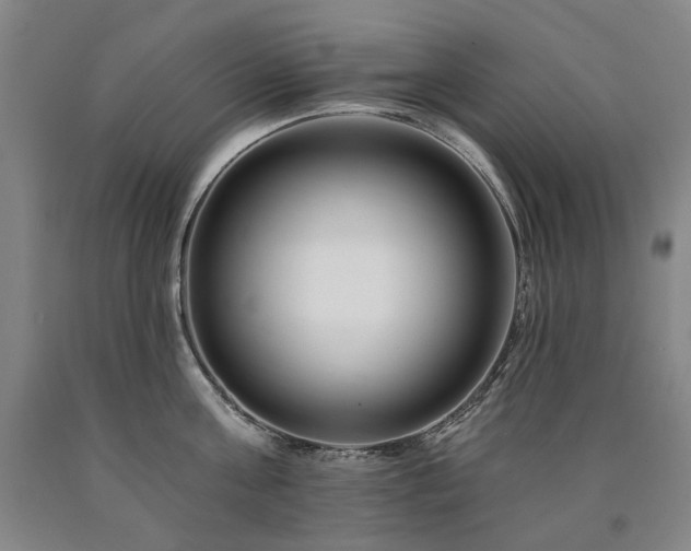 X0000090930811200707301554