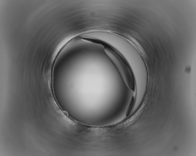 X0000090930812200707301554