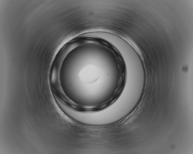 X0000090930813200707301554