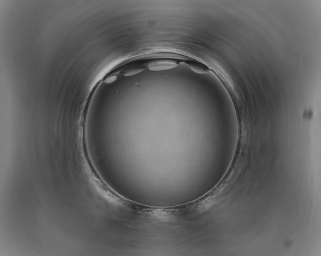 X0000090930814200707301554