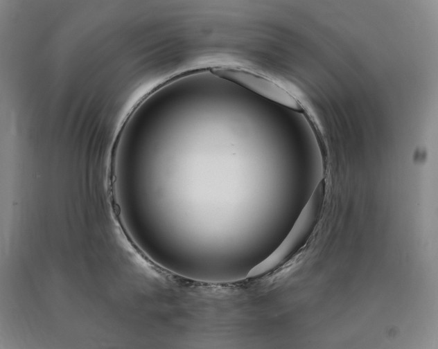 X0000090930815200707301554