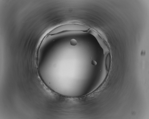 X0000090930816200707301554