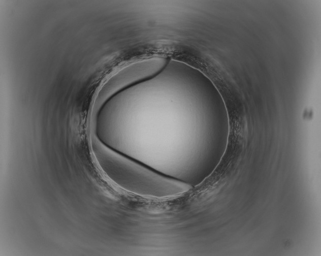 X0000090930818200707301553