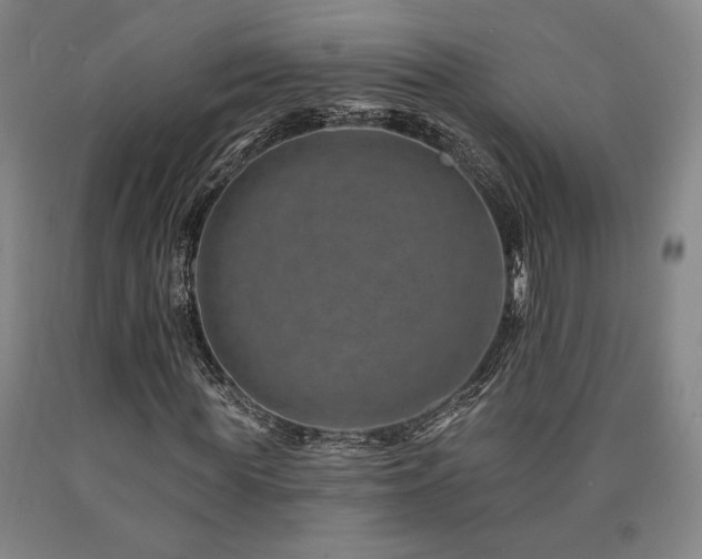X0000090930819200707301553