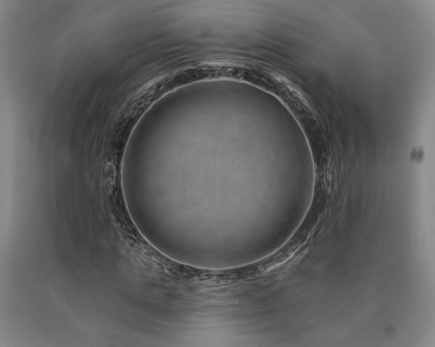 X0000090930821200707301553