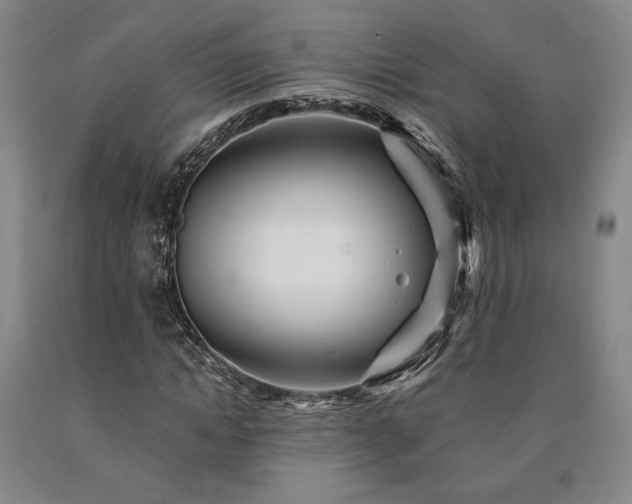X0000090930822200707301553