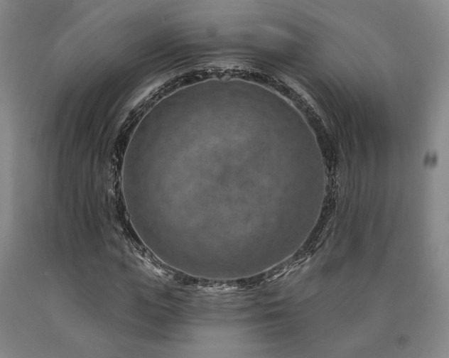 X0000090930823200707301553